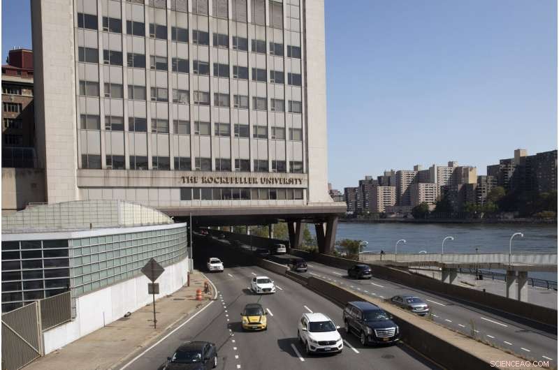 Prestigious Universities Accept Over $60M From OxyContin Owner’s Family Amid Opioid Litigation