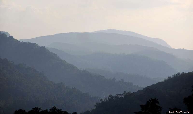 Earliest Miniaturized Stone Toolkits Unearthed Across Eurasia