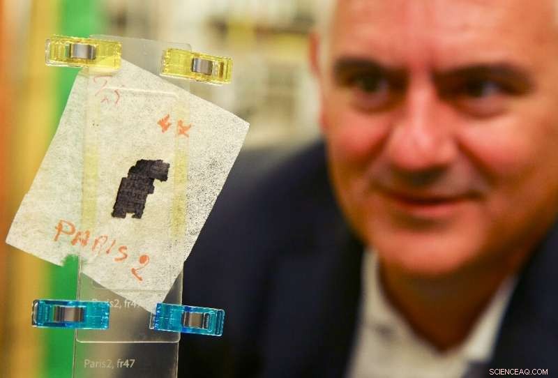 UK Particle Accelerator Deciphers 2,000-Year-Old Vesuvius Papyrus