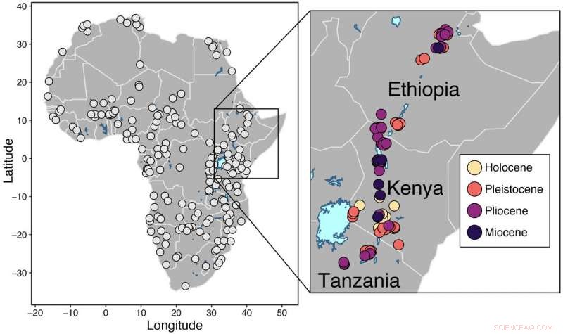 Early Humans Thrived in Unique Ecosystems – Discover How