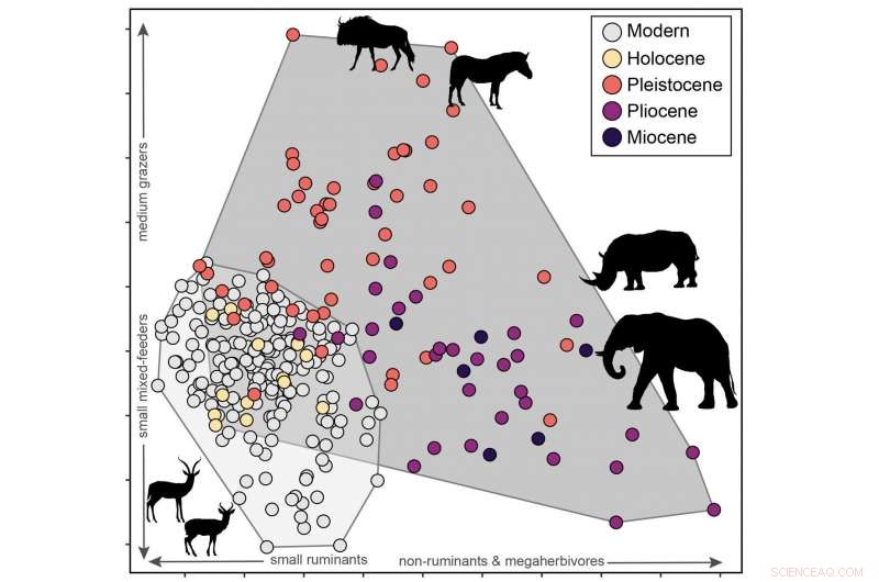 Early Humans Thrived in Unique Ecosystems – Discover How