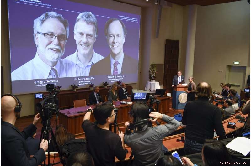 Three Scientists Awarded Nobel Prize for Discovering How Cells Detect Low Oxygen