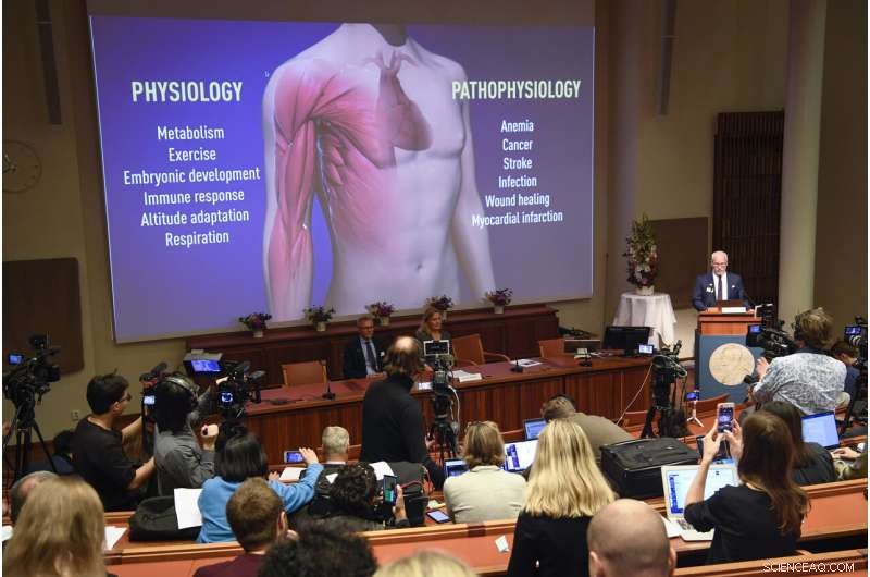 Three Scientists Awarded Nobel Prize for Discovering How Cells Detect Low Oxygen