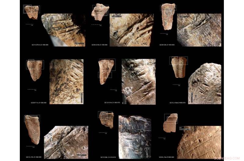 400,000-Year-Old Evidence Shows Early Humans Stored and Consumed Bone Marrow Like Canned Soup
