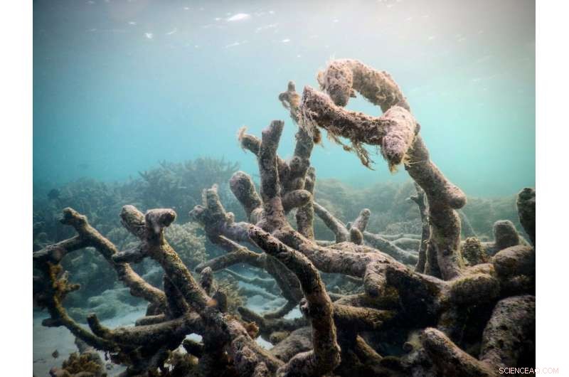 Scientists Should Be Allowed to Express Their Emotional Response to Environmental Destruction