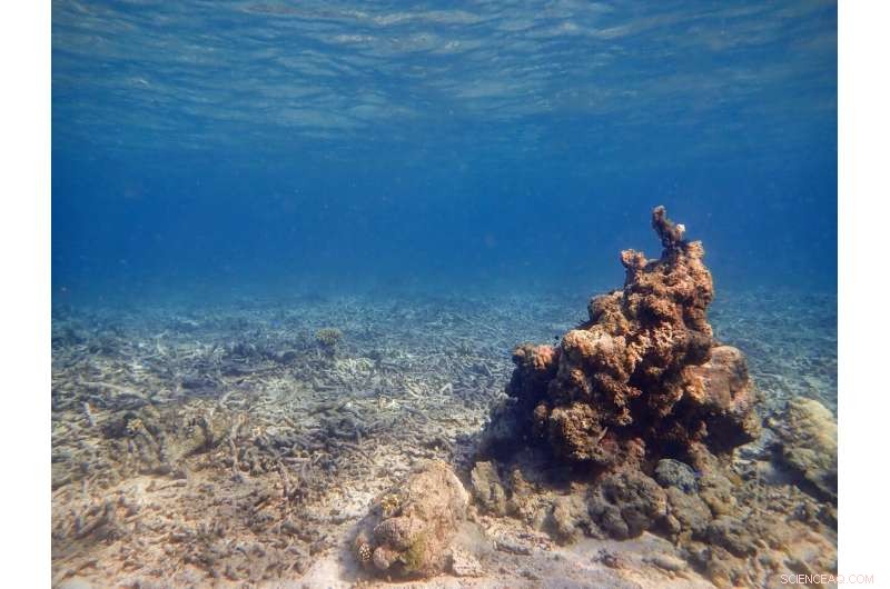 Scientists Should Be Allowed to Express Their Emotional Response to Environmental Destruction