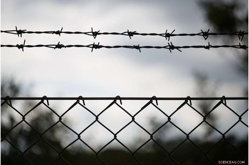 Alarming Self‑Harm Rates Among Detained Asylum Seekers Highlight Urgent Reform Need