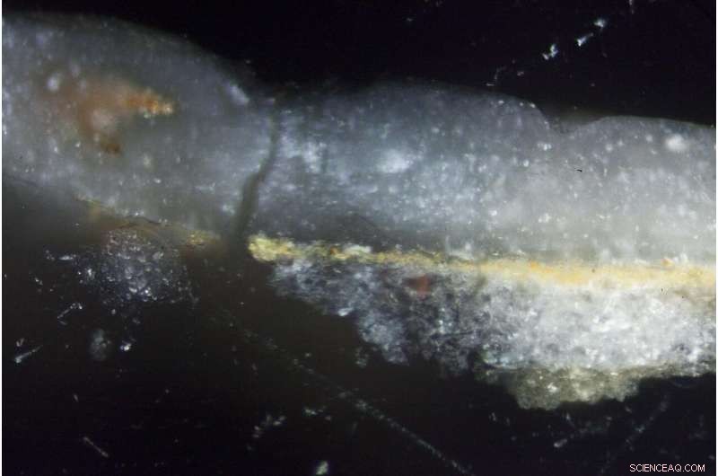 New Findings Uncover Hidden Yellow Pigments in Ancient Artifacts