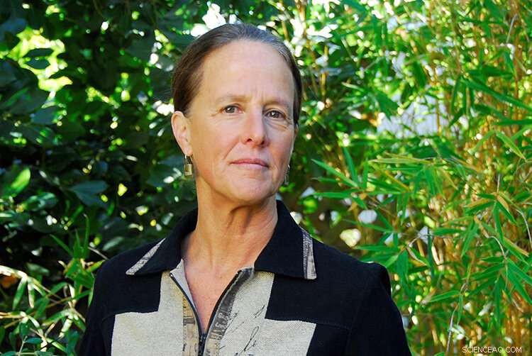 Border Walls Provide No Real Security or Strength: Expert Analysis