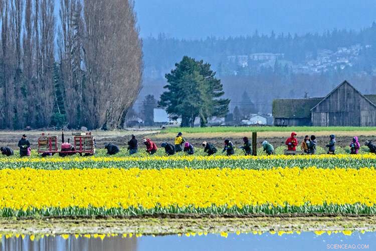 Border Walls Provide No Real Security or Strength: Expert Analysis