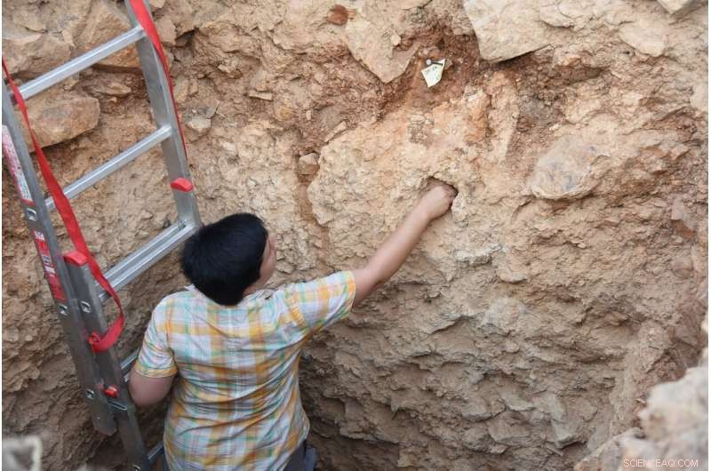 New Study Reveals Early Humans Traversed Mediterranean 200,000 Years Earlier Than Thought