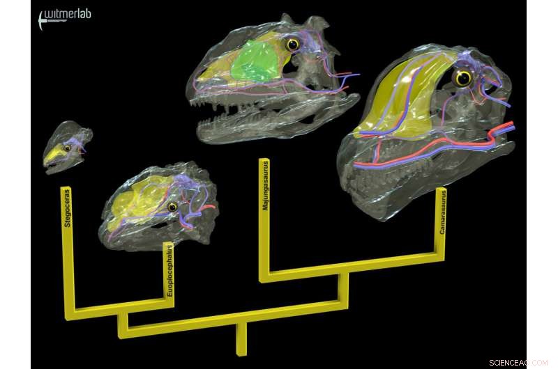 New Study Reveals How Giant Dinosaurs Developed Advanced Cooling Systems to Avoid Heat Stroke