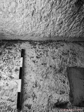 Archaeologists Discover 2,000‑Year‑Old Pilate‑Built Street in Jerusalem s City of David