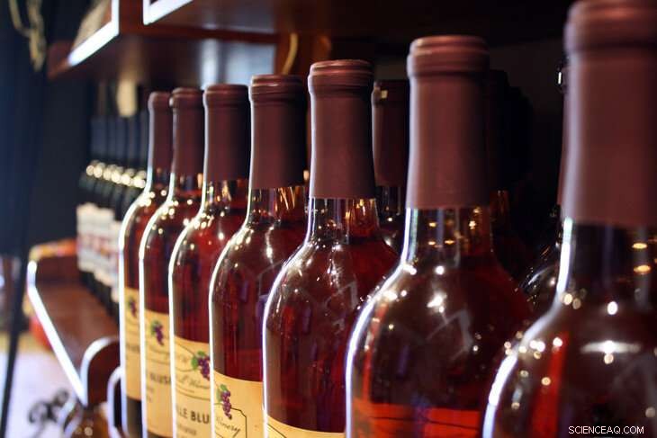 Sustainable Practices Set Tasting Rooms Apart: How Bottle Recycling Boosts Brand Appeal