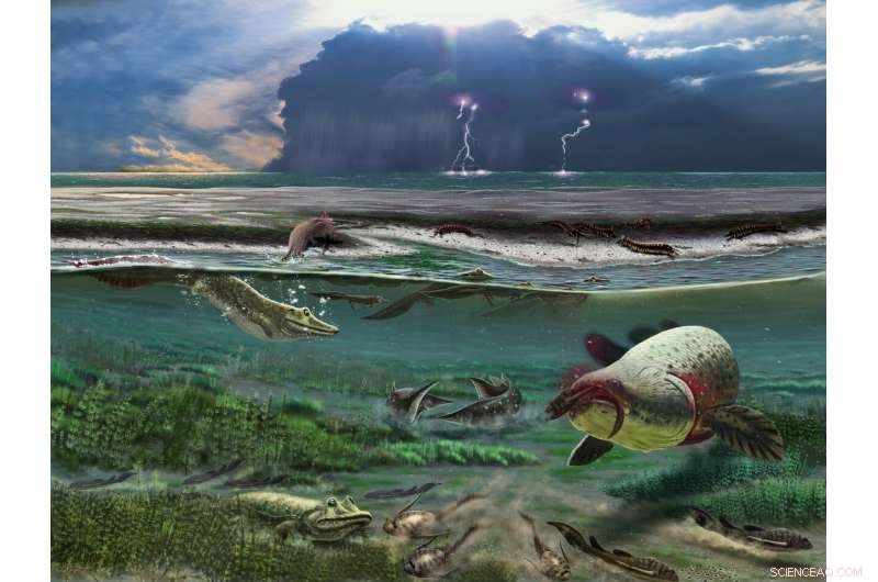 Earliest Tetrapod Fossil Suggests It Stayed Aquatic, Challenging Evolutionary Assumptions