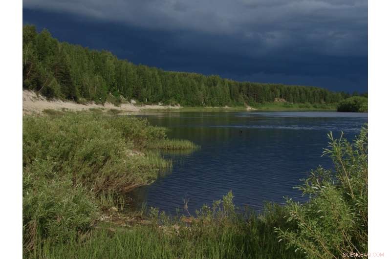 Earliest Tetrapod Fossil Suggests It Stayed Aquatic, Challenging Evolutionary Assumptions