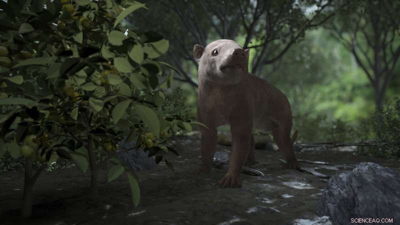 Fossil Discovery Illuminates Rapid Life Recovery After Mass Extinction