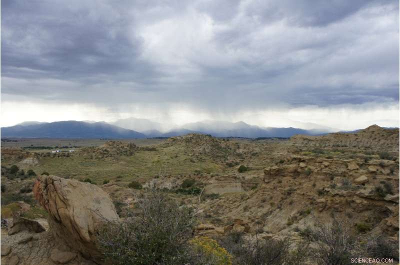 Fossil Discovery Illuminates Rapid Life Recovery After Mass Extinction