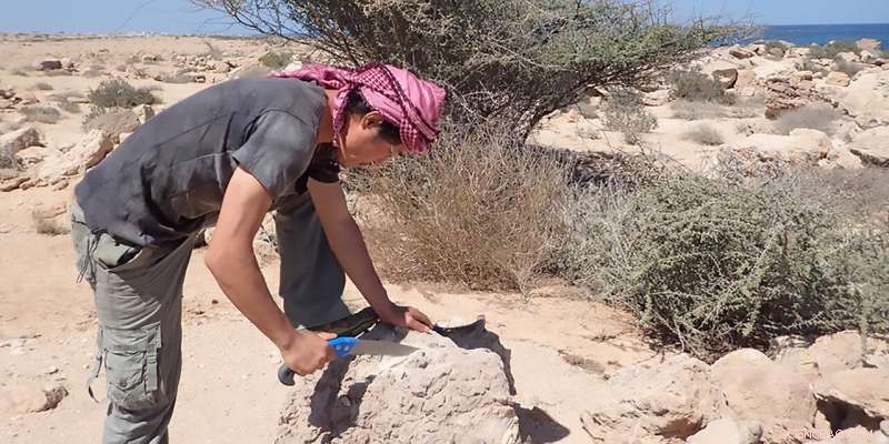 How Severe Winter Dust Storms Contributed to the Collapse of the Akkadian Empire