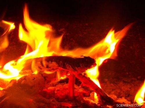 New Research Clarifies How Early Humans Learned to Control Fire