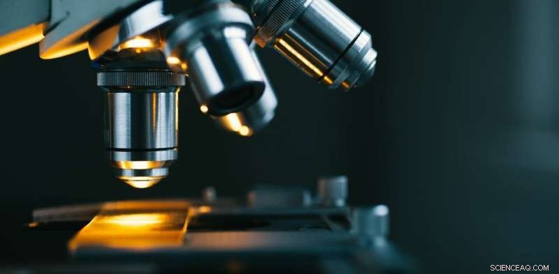 Forecasting Research Outcomes: Enhancing Scientific Rigor and Informed Decision-Making