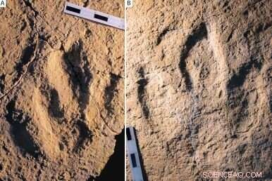 Jurassic Dinosaurs Roamed Between Africa and Europe: Footprint Evidence Reveals Ancient Land Bridges