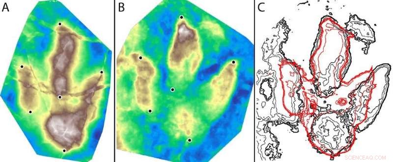 Jurassic Dinosaurs Roamed Between Africa and Europe: Footprint Evidence Reveals Ancient Land Bridges
