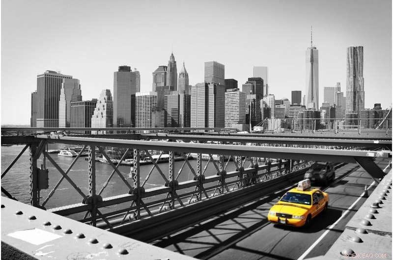 Taxi Drivers Boost Earnings by Choosing Profitable Trips, New Study Shows