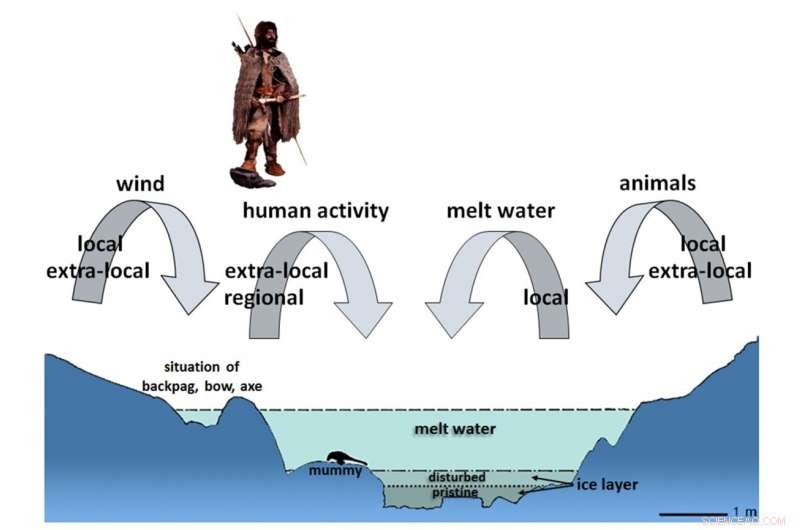 Discover 75 Ancient Mosses & Liverworts Found Near Ötzi the Iceman