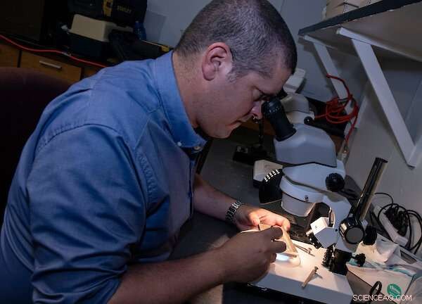 Researchers Unveil Newly Discovered Dinosaur Relative