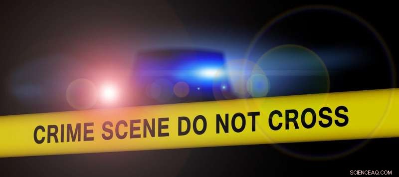 Investigating the Lunar Effect: Does Crime Spike Under a Full Moon?