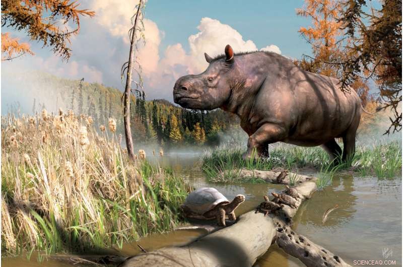 Yukon’s Ancient Rhinoceroses: Evidence of Prehistoric Life