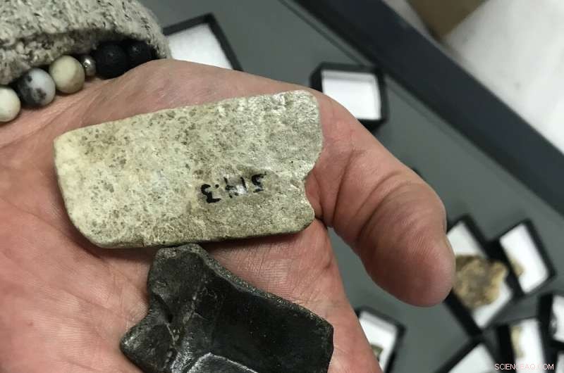 Yukon’s Ancient Rhinoceroses: Evidence of Prehistoric Life