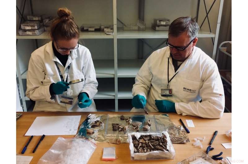 Ancient Turtle Bones Unveil Historical Fishing Practices in Florida & Caribbean