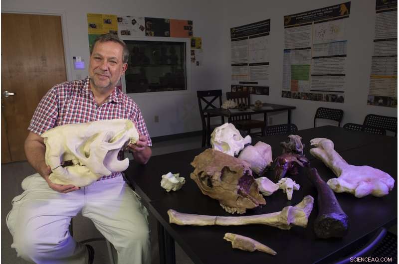 Founding Fathers  Fascination with America s Ice Age Giants