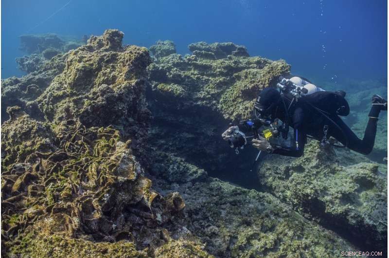 Three Ancient Shipwrecks Discovered Off Kasos Island, Unveiling Rich Maritime Heritage