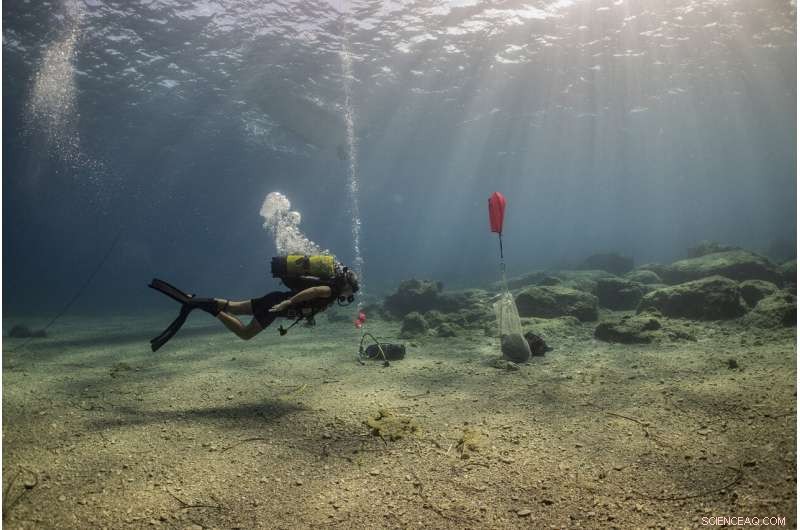 Three Ancient Shipwrecks Discovered Off Kasos Island, Unveiling Rich Maritime Heritage