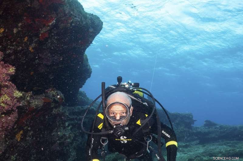 Three Ancient Shipwrecks Discovered Off Kasos Island, Unveiling Rich Maritime Heritage