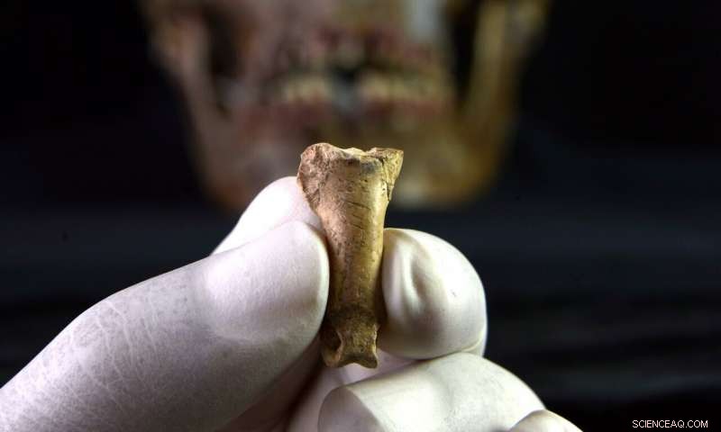 First-Ever Neanderthal Eagle Talon Necklace Unearthed in Iberia
