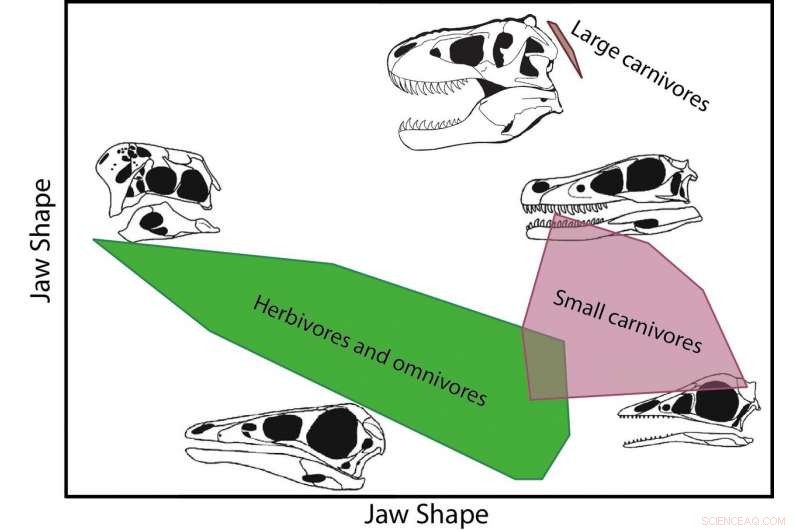 Decoding the Dietary Niches of Carnivorous Dinosaurs