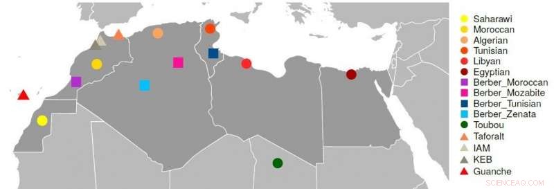 Paleolithic DNA Signature Found in North African Genomes