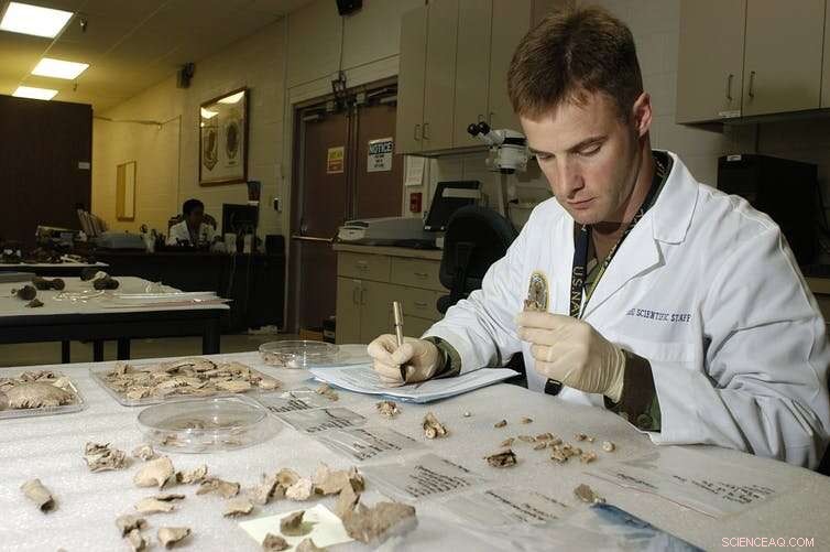 How Human Remains Reveal Hidden Atrocities: Uncovering Truth Through Forensic Analysis