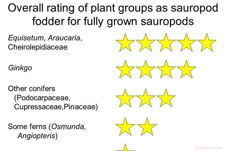 What Fuelled the Giant Sauropods? New Research Reveals Mesozoic Superfoods