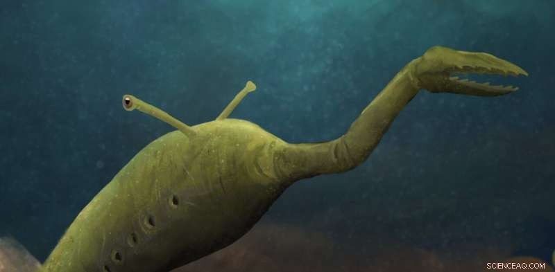 Decoding the Tully Monster: Unraveling a 300-Million-Year-Old Fossil Mystery