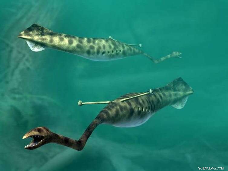 Decoding the Tully Monster: Unraveling a 300-Million-Year-Old Fossil Mystery