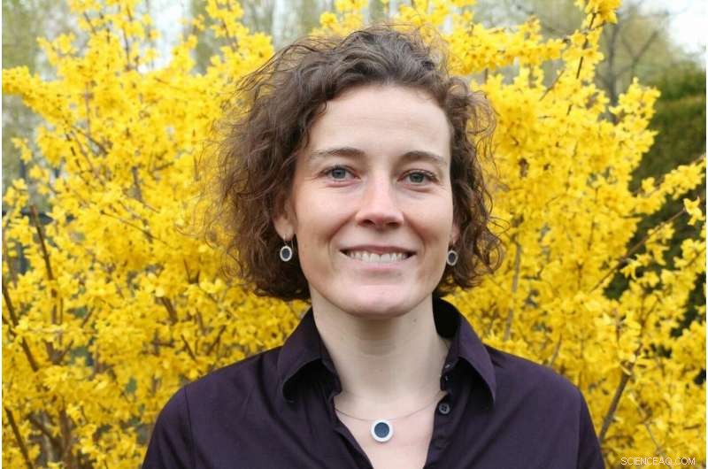 Gender Quotas in Business: European Perspectives and Impact