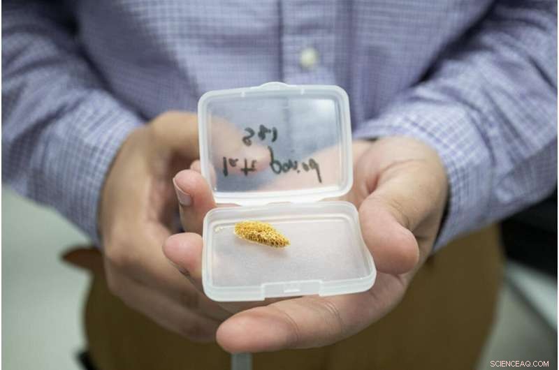 Advanced Imaging Reveals Secrets of Egyptian Mummy Bones