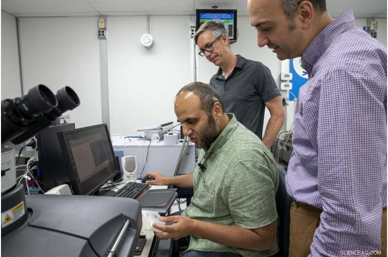 Advanced Imaging Reveals Secrets of Egyptian Mummy Bones