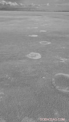 First Radar‑Detected Ice Age Footprints Reveal Mammoth and Early Human Tracks