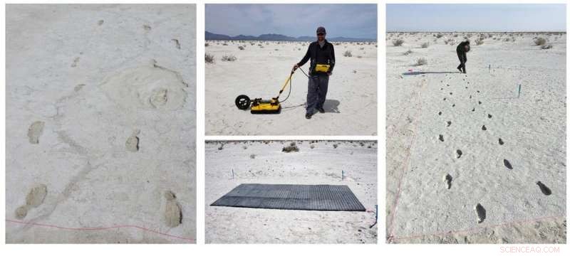 First Radar‑Detected Ice Age Footprints Reveal Mammoth and Early Human Tracks